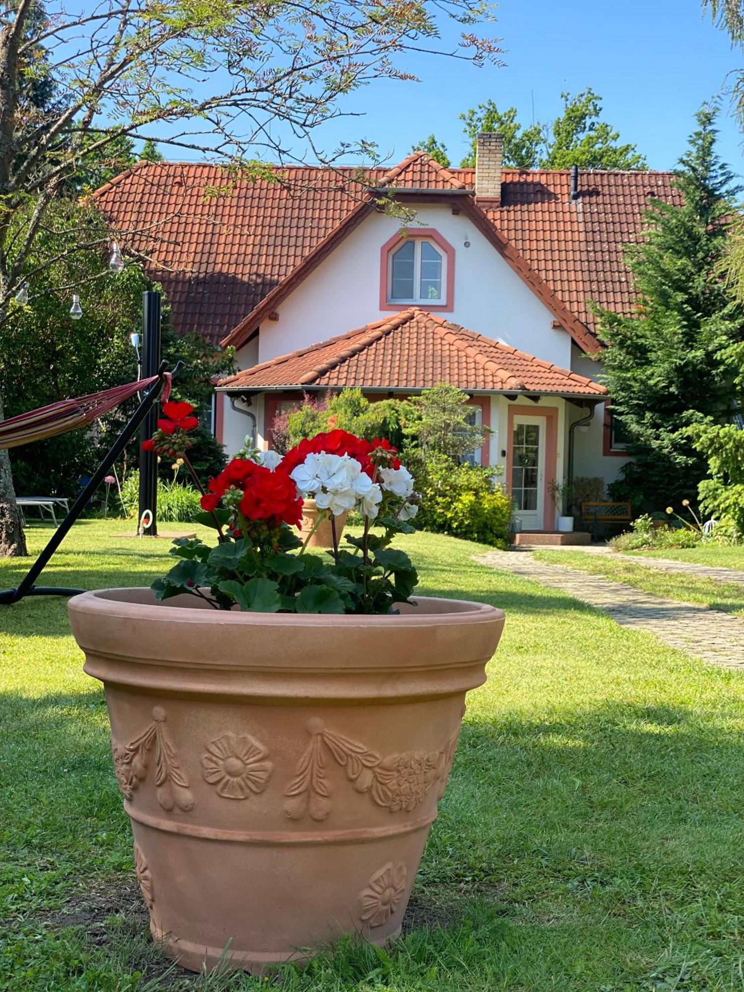 Vila Evio Trebon Exterior photo